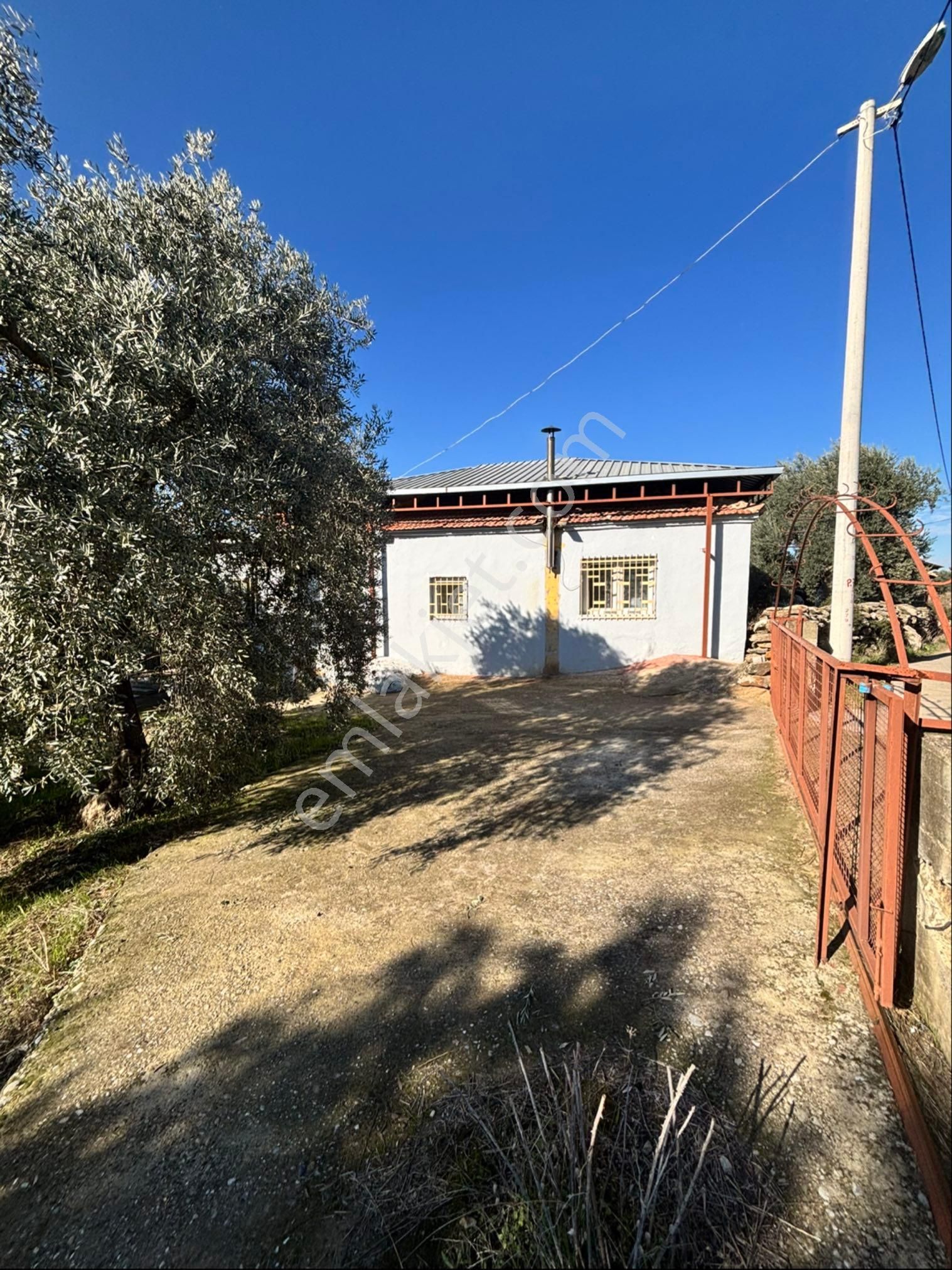 Nazilli Beğerli Mahallesinde 3.000 M2 Müstakil Evli Satılık Zeytinlik - Görsel 2