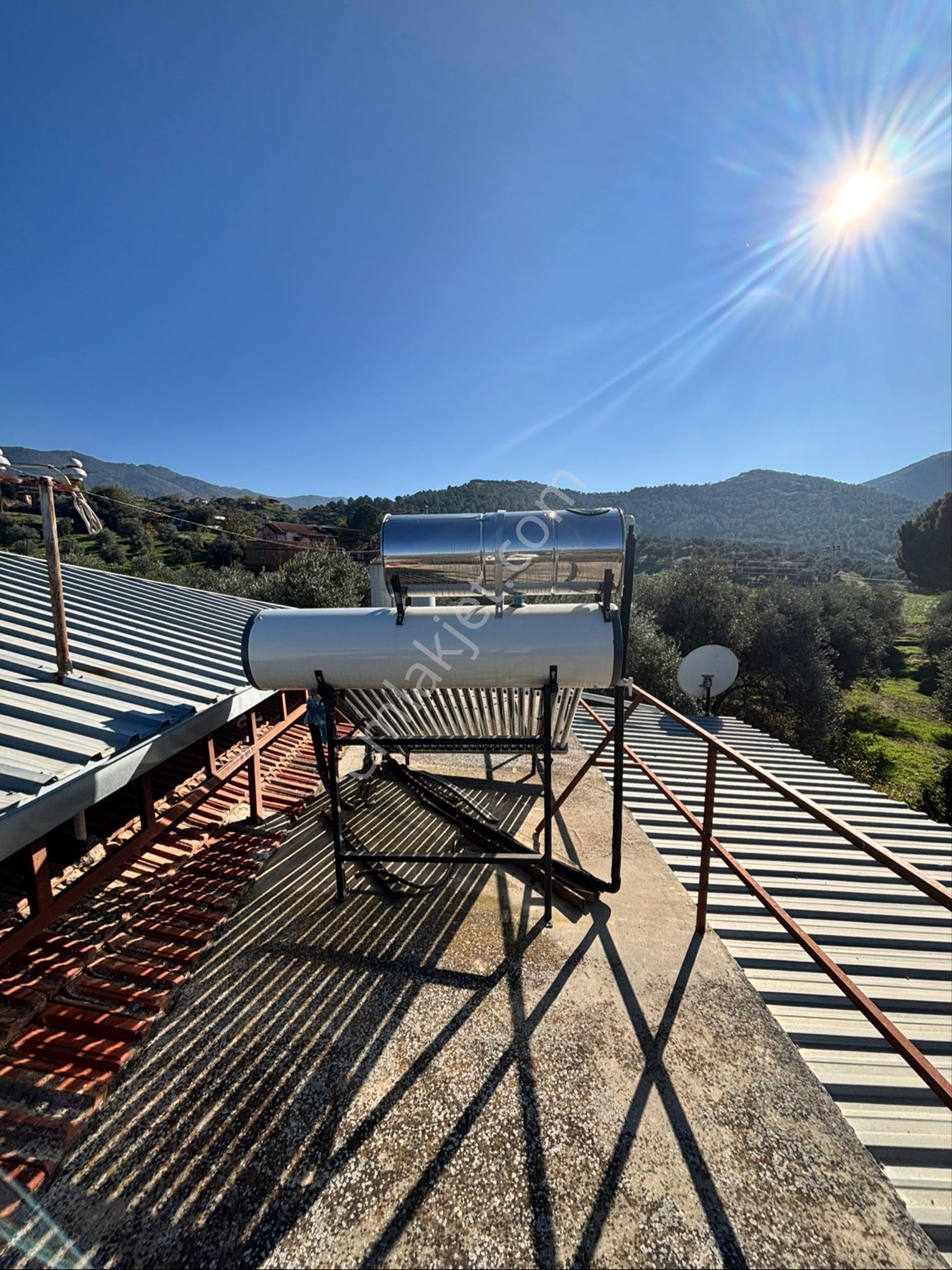 Nazilli Beğerli Mahallesinde 3.000 M2 Müstakil Evli Satılık Zeytinlik - Görsel 12