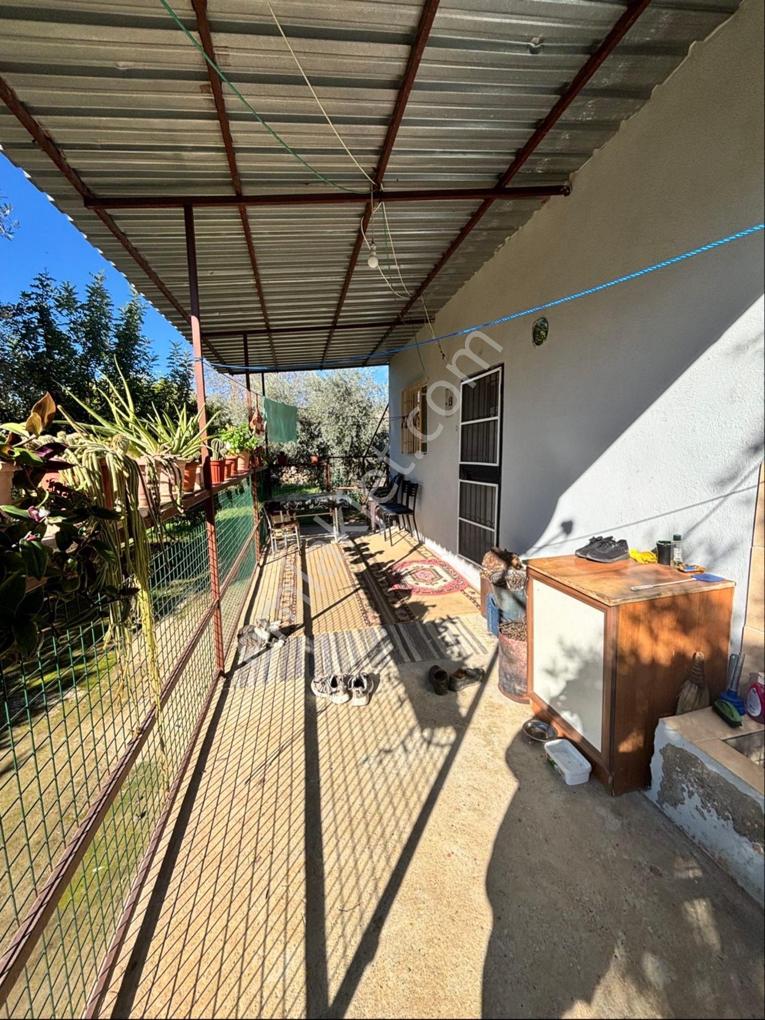 Nazilli Beğerli Mahallesinde 3.000 M2 Müstakil Evli Satılık Zeytinlik - Görsel 28