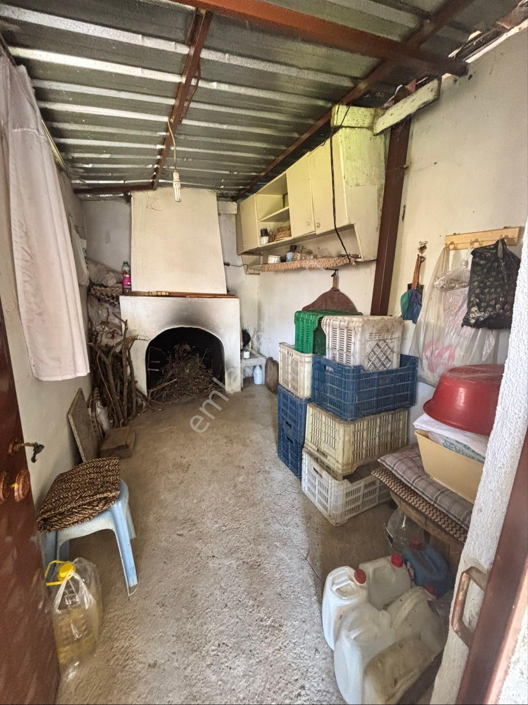 Nazilli Beğerli Mahallesinde 3.000 M2 Müstakil Evli Satılık Zeytinlik - Görsel 15