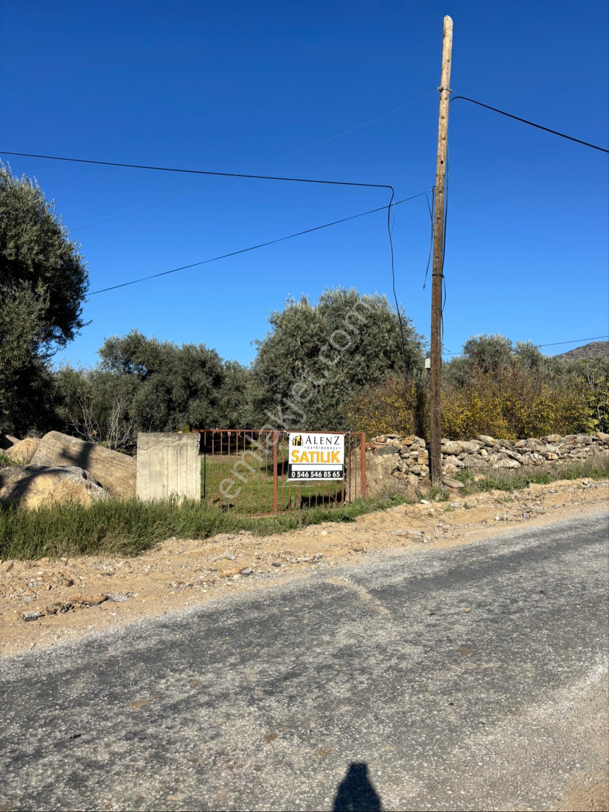 Nazilli Beğerli Mahallesinde 3.000 M2 Müstakil Evli Satılık Zeytinlik - Görsel 31