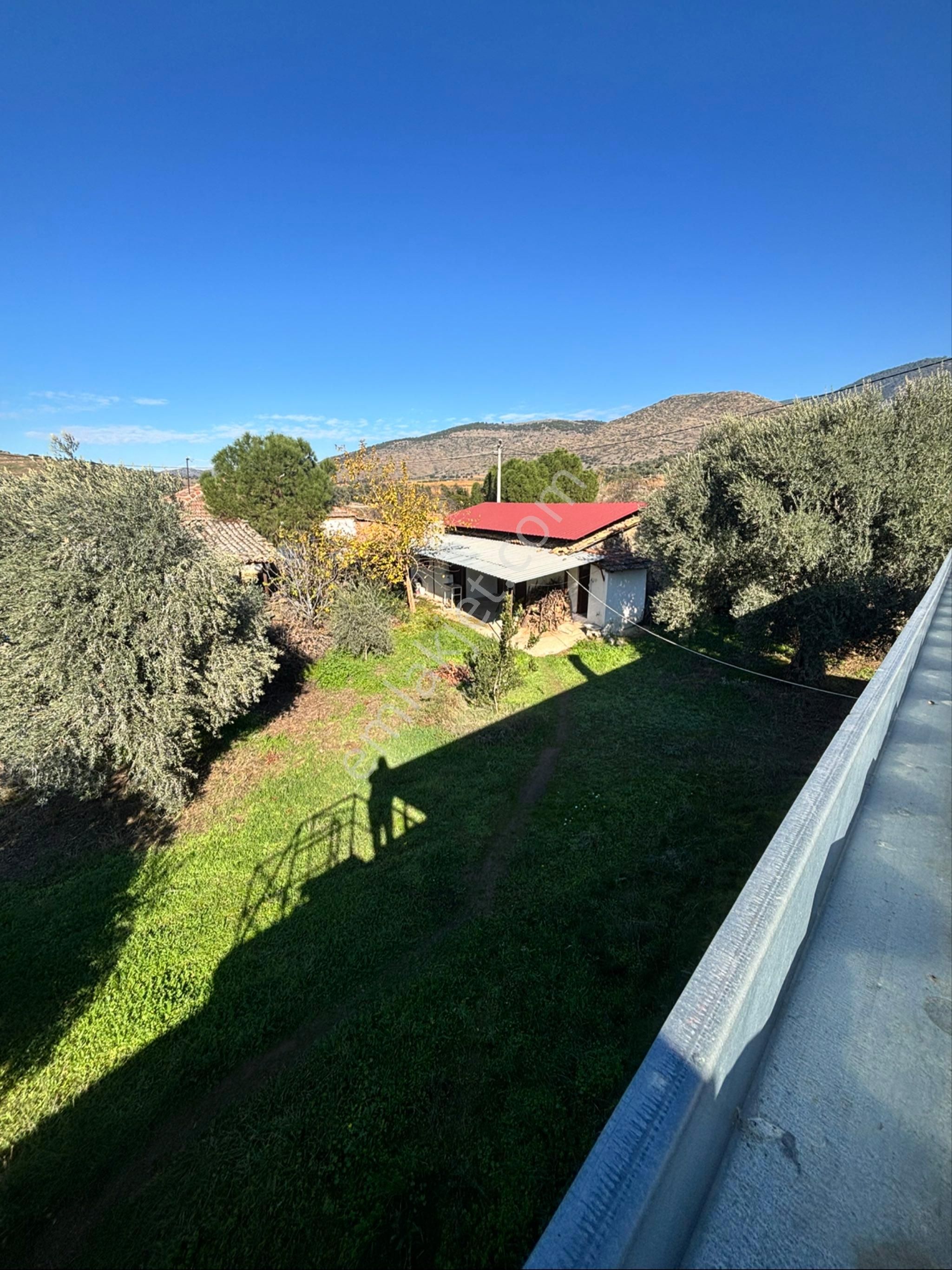 Nazilli Beğerli Mahallesinde 3.000 M2 Müstakil Evli Satılık Zeytinlik - Görsel 10