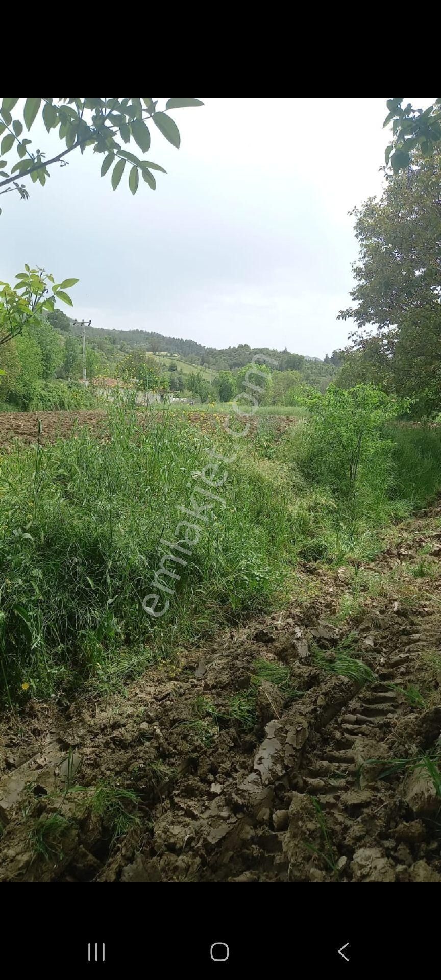 Muğla Menteşe De Satılık Arsa - Görsel 3