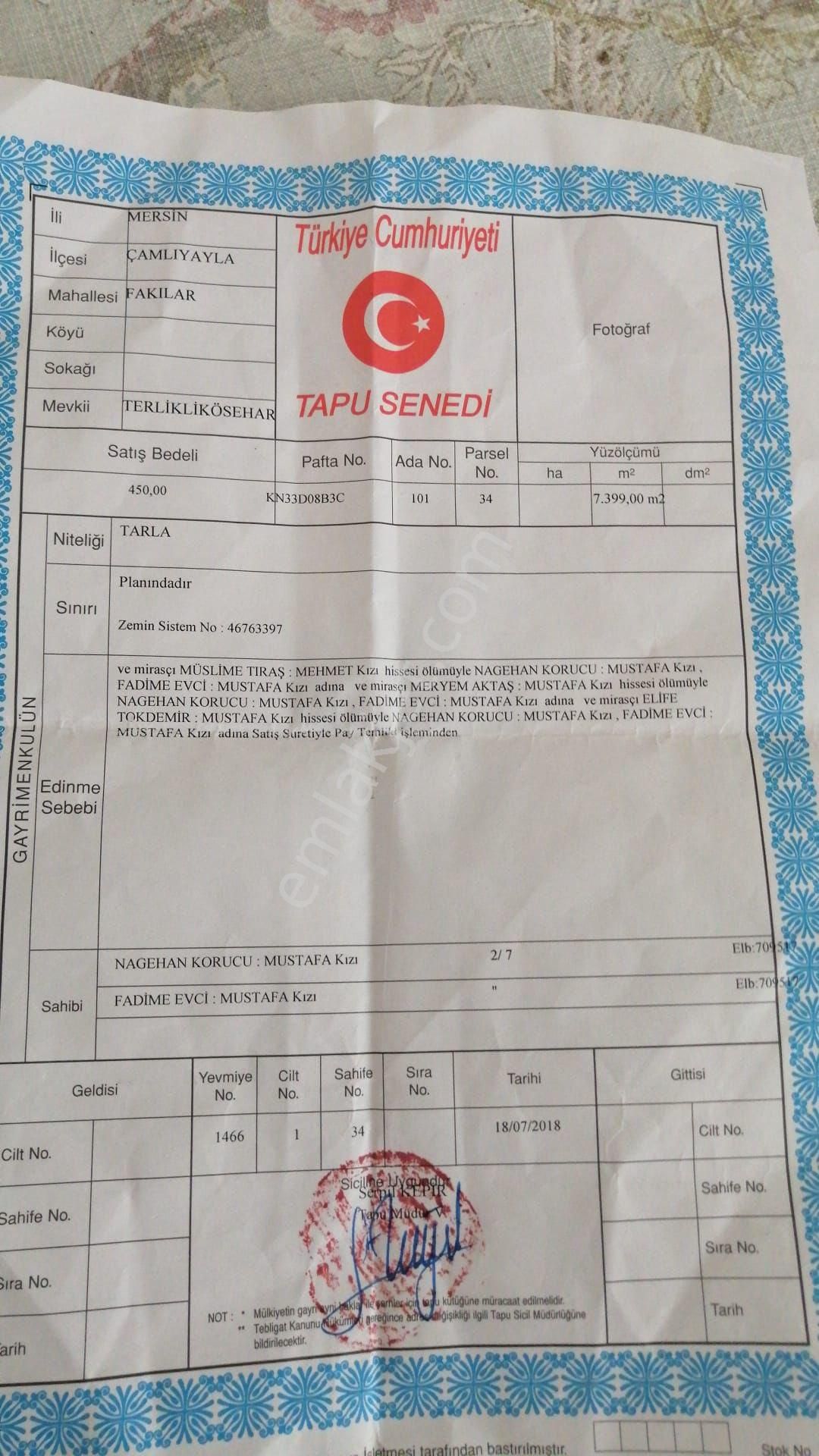 Çamlıyayla Fakılar’da 7.400 M² Kivi Bahçesi – Satılık - Görsel 6