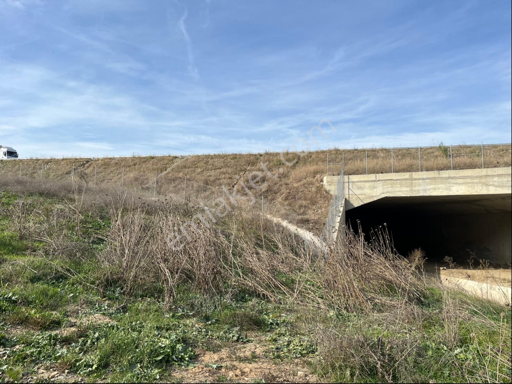 Miray Emlaktan Nazilli Pirlibey Mahallesinde Satılık Zeytinlik - Görsel 15