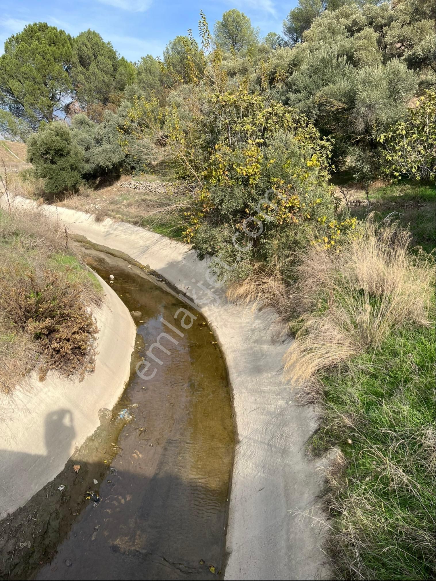 Miray Emlaktan Nazilli Pirlibey Mahallesinde Satılık Zeytinlik - Görsel 44