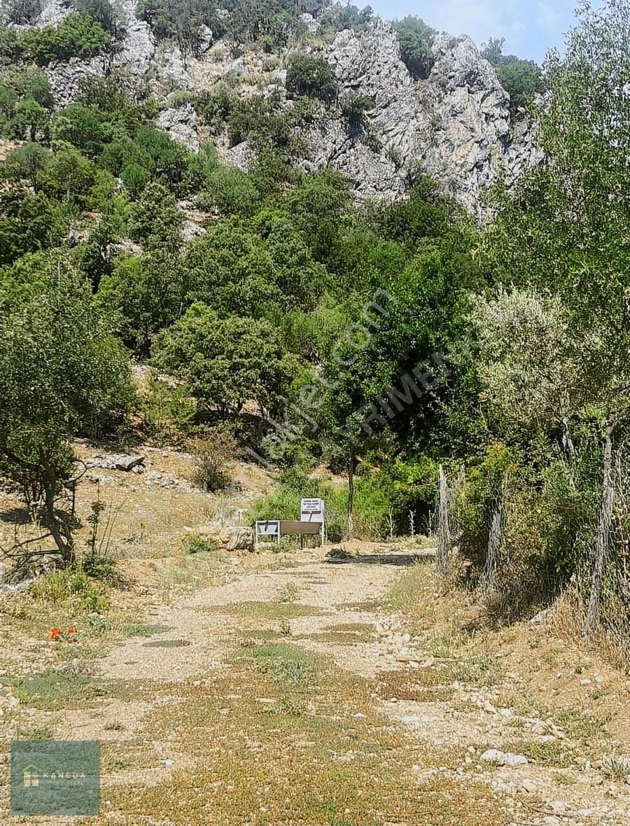 Köy İmarlı Kelepir Kaçmaz Arazi!!!