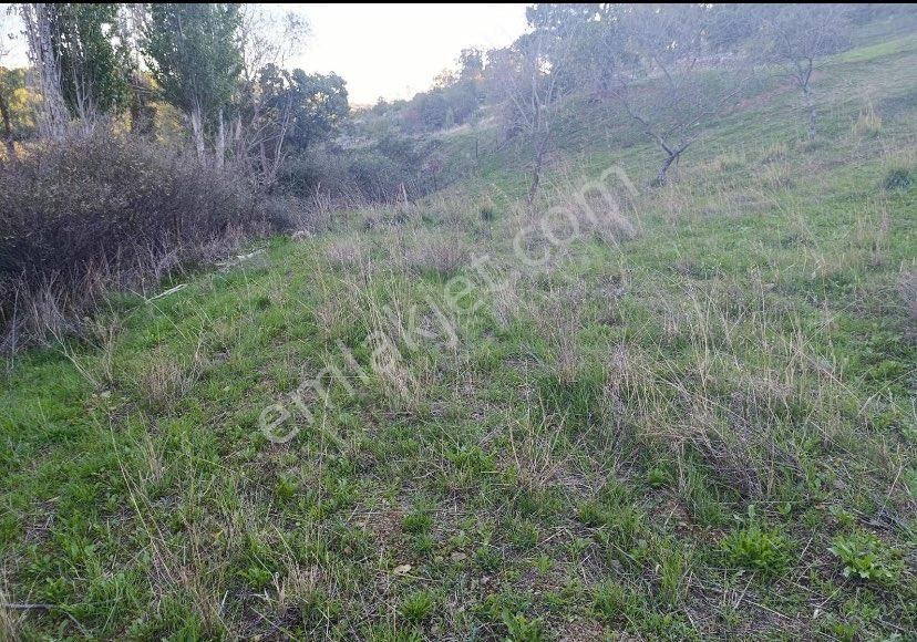 Prestij Gayrimenkulden Yerleşime Yakın 1 Dönüm Arsa - Görsel 6