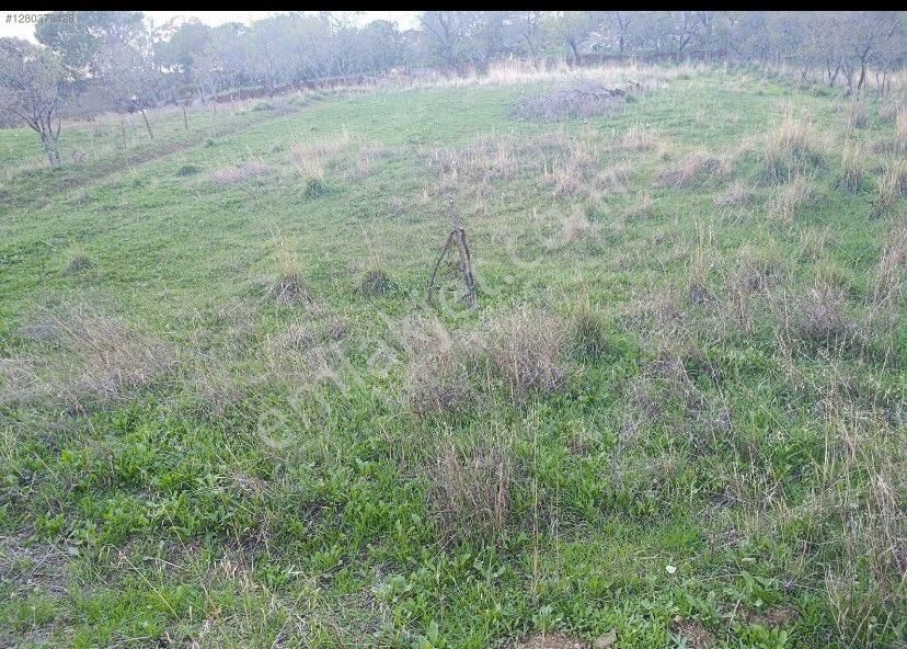 Prestij Gayrimenkulden Yerleşime Yakın 1 Dönüm Arsa - Görsel 4