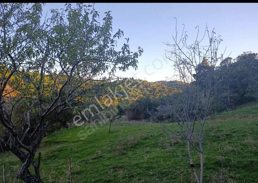 Prestij Gayrimenkulden Yerleşime Yakın 1 Dönüm Arsa - Görsel 3