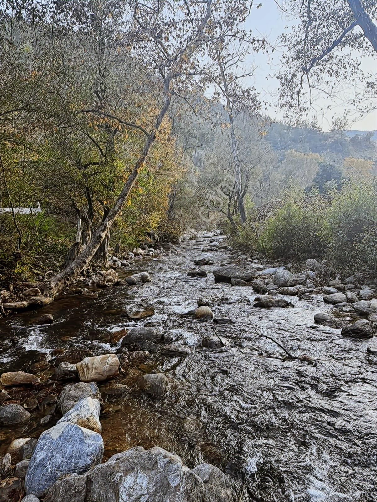 Alanya Gümüşgözede 1.097 M² Çaya Sıfır, Ev Yapımına Uygun Tarla - Görsel 22