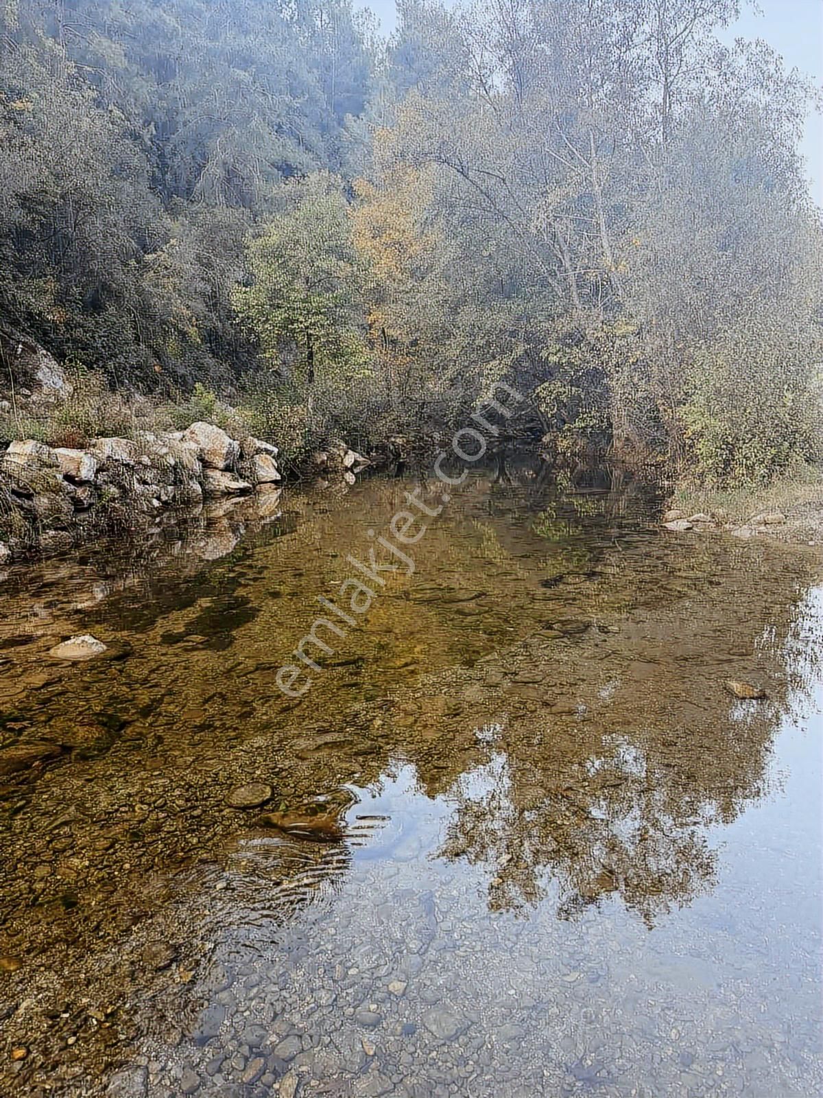 Alanya Gümüşgözede 1.097 M² Çaya Sıfır, Ev Yapımına Uygun Tarla - Görsel 3