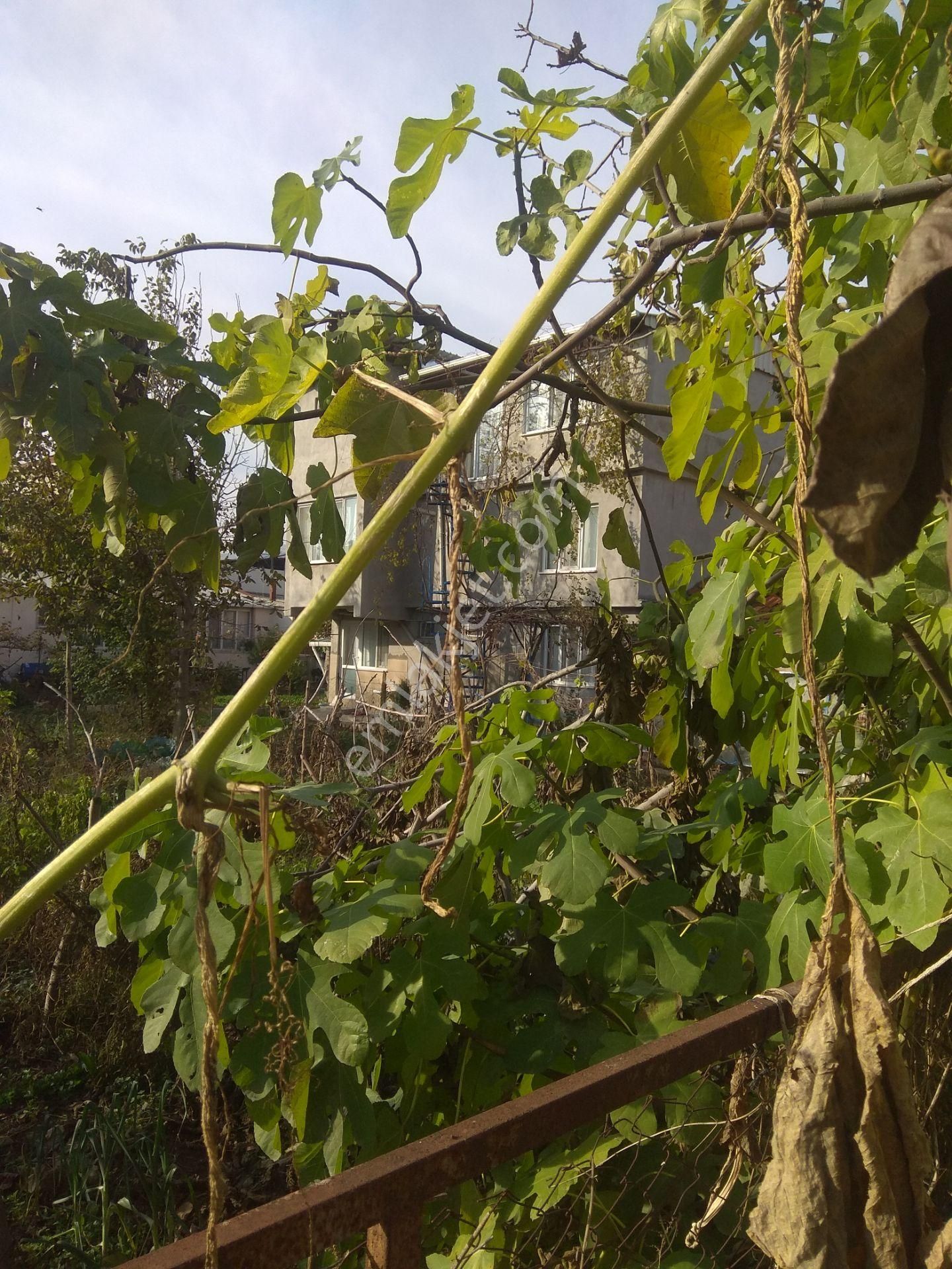 Mustafakemalpaşa Yalıntaşta 320m2 3 Kat Konut İmarlı Arsa - Görsel 3