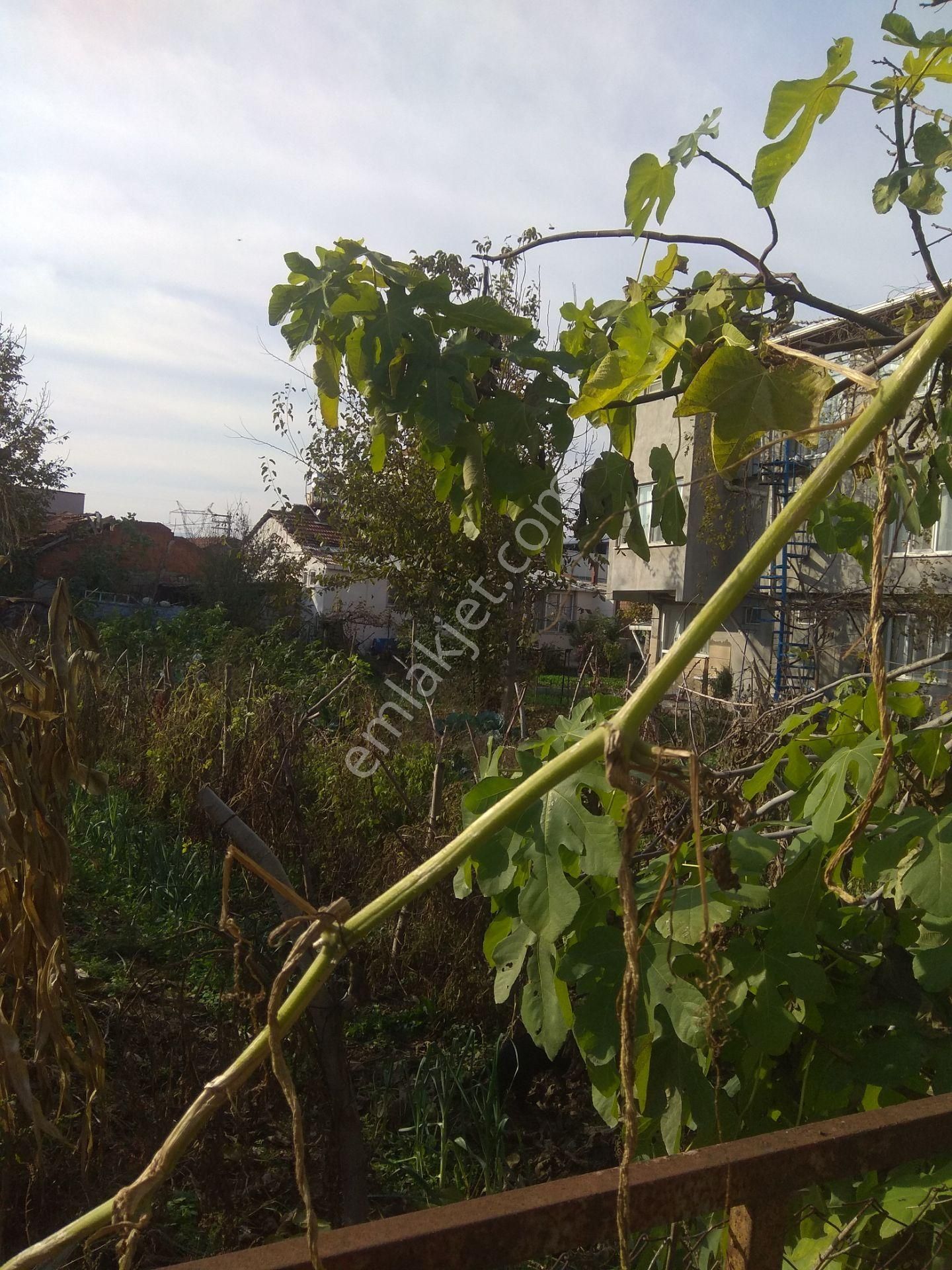 Mustafakemalpaşa Yalıntaşta 320m2 3 Kat Konut İmarlı Arsa - Görsel 2