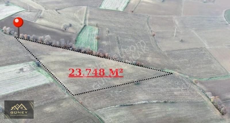 Güney Emlak Gayrimenkulden Meşeli Mah. Satılık Tarla