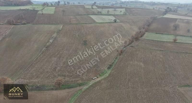 Güney Emlak Gayrimenkulden Meşeli Mah. Satılık Tarla - Görsel 3