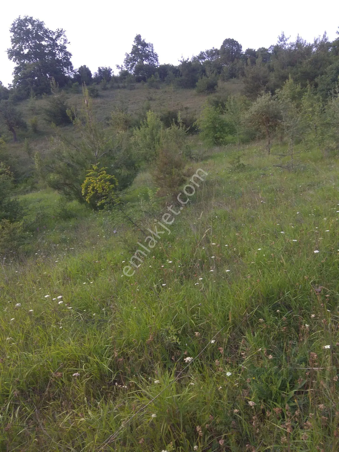 Mustafakemalpaşa Kösehoroz Köyünde Ana Asvalta Cepheli 13 Dönüm Tarla