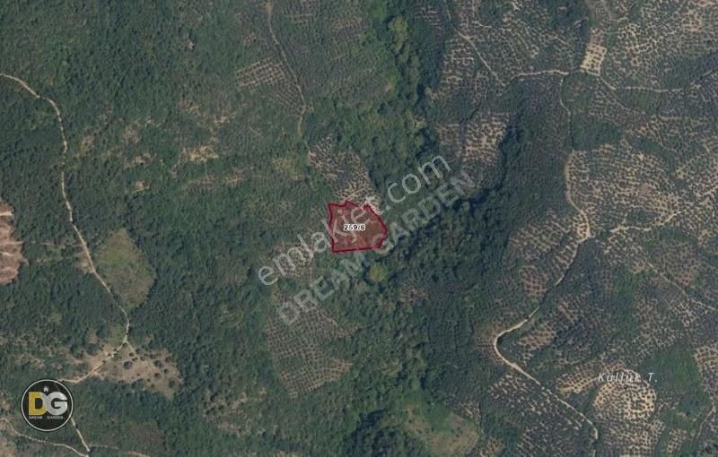 Bursa Orhangazi Yeni Solöz 4,2 Dönüm Fırsat Tarla