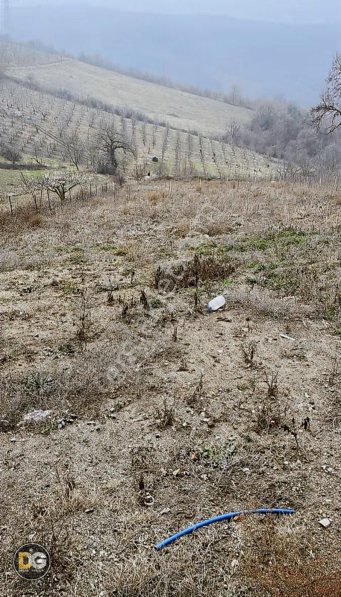 Kestel Ümitalan'da Evi Olan 1 Dönüm Hobi Bahçesi - Görsel 3