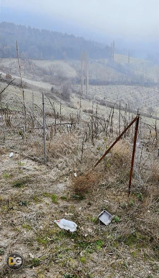 Kestel Ümitalan'da Evi Olan 1 Dönüm Hobi Bahçesi - Görsel 2