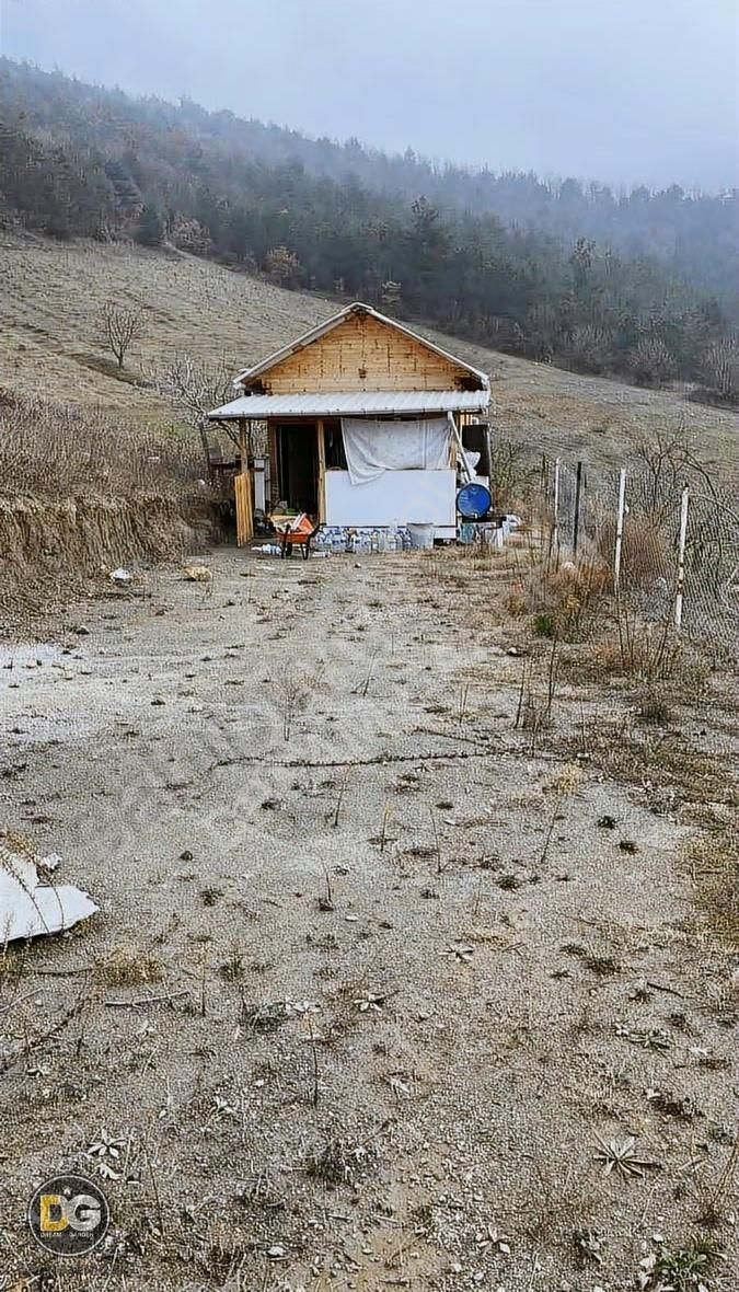 Kestel Ümitalan'da Evi Olan 1 Dönüm Hobi Bahçesi