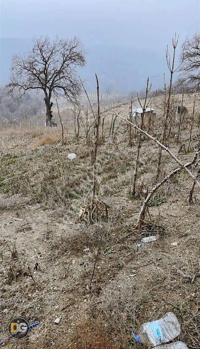 Kestel Ümitalan'da Evi Olan 1 Dönüm Hobi Bahçesi - Görsel 4