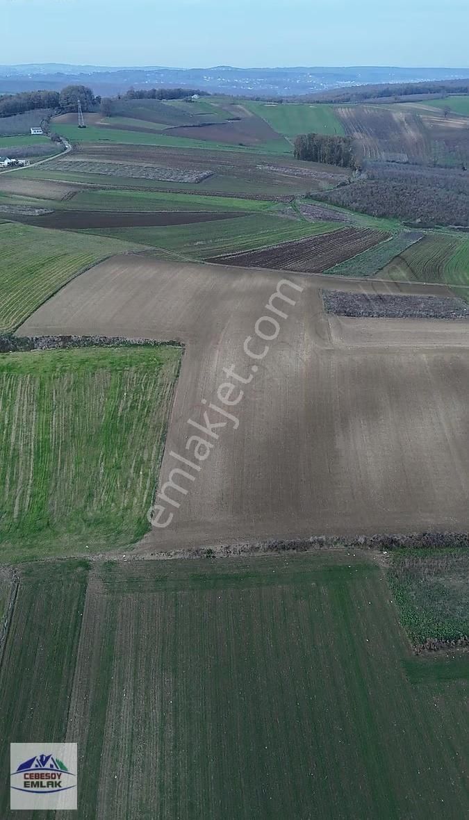 Cebesoy Emlak'tan Kayacık Mahallesi Yatırımlık Yolsuz Tarla - Görsel 6
