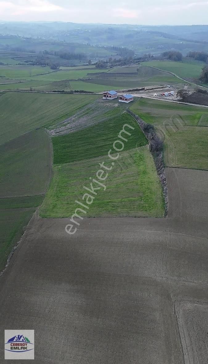 Cebesoy Emlak'tan Kayacık Mahallesi Yatırımlık Yolsuz Tarla - Görsel 3