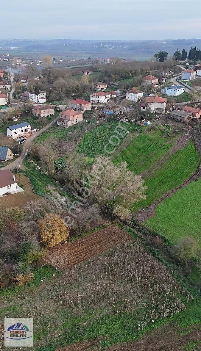 Cebesoy Emlak'tan Kayacık'ta Köy Kenarı Yatırımlık Yolsuz Tarla - Görsel 7
