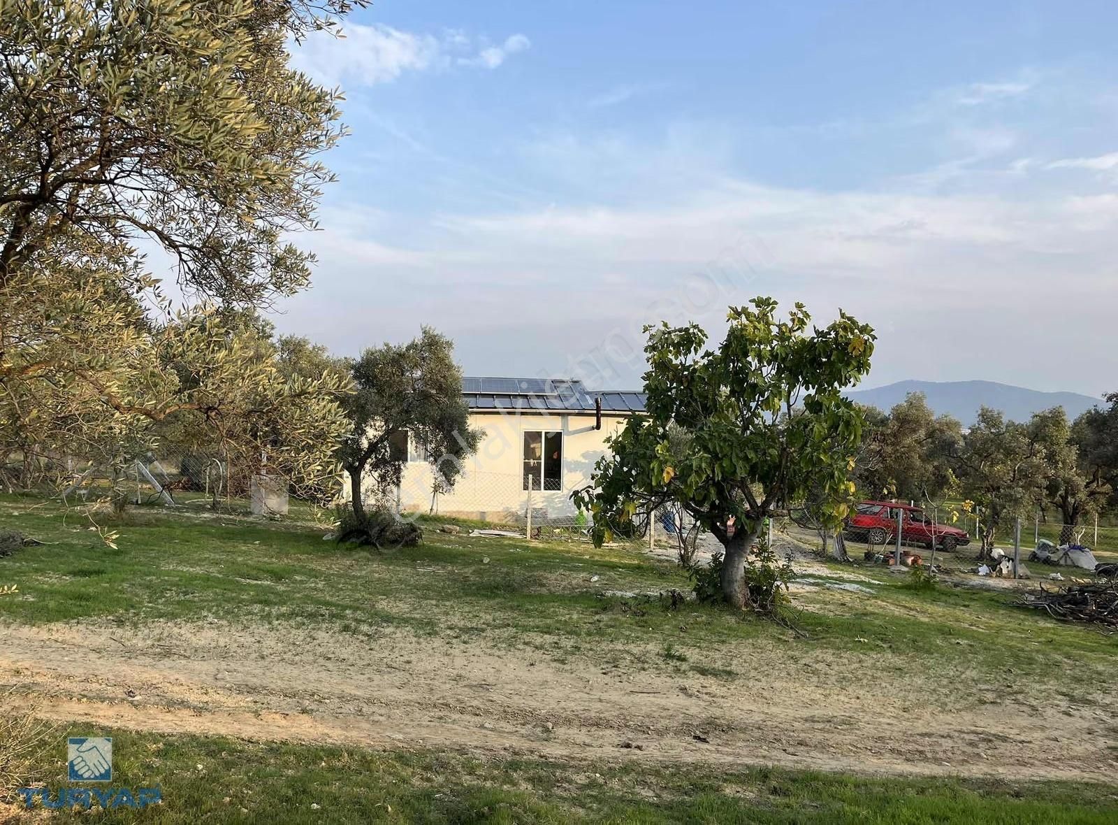 Torbalı Çapak Mah. 3320m2 Tarla Ve Zeytinlik - Görsel 12