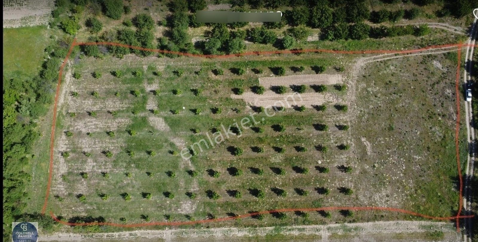 Afyon Konya Karayolu Deresinek Köyün'de Satılık Kiraz Bahçesi