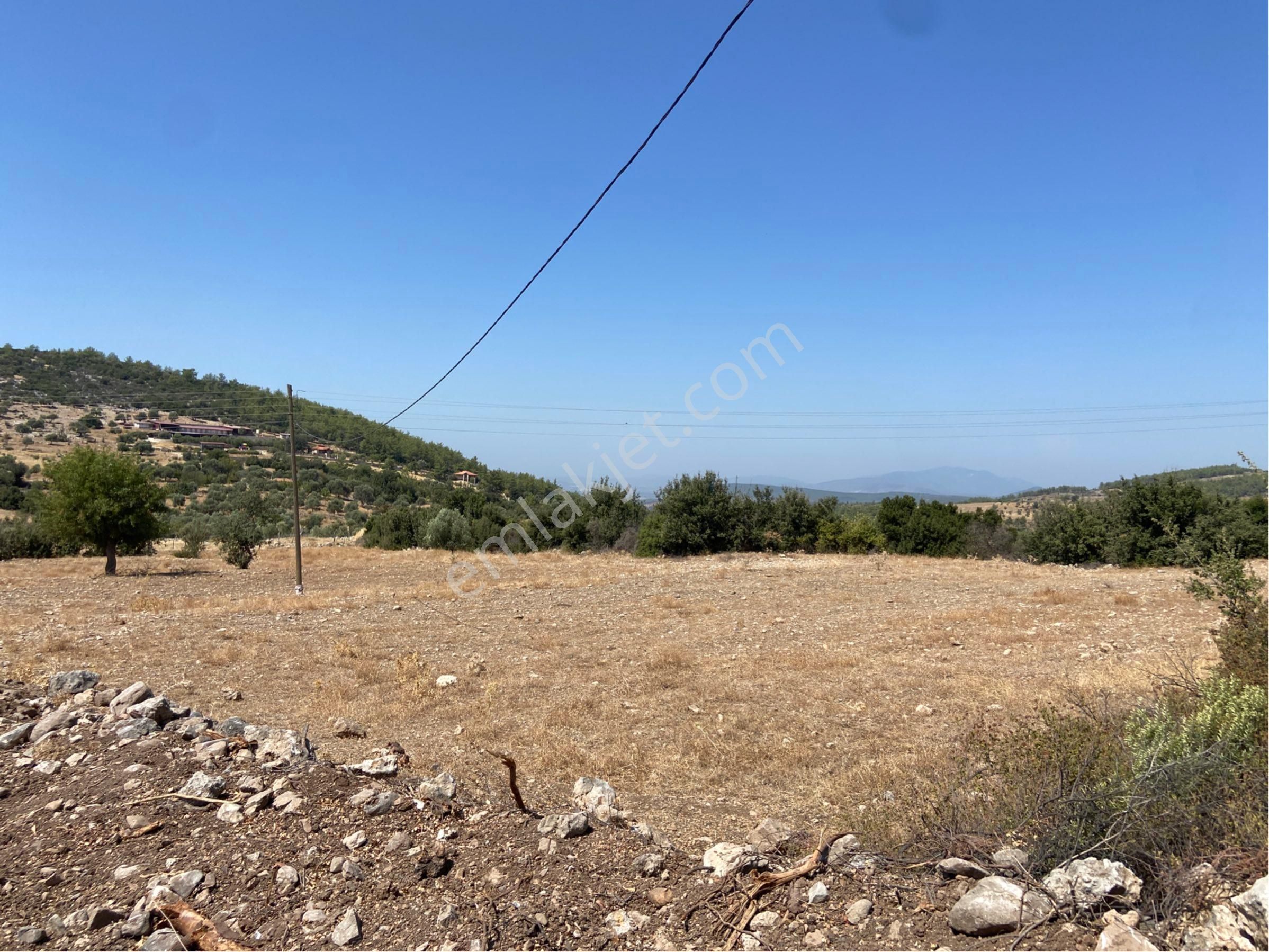 Muğla Milas Kayaderesi Mahallesinde Satılık Tarlamız - Görsel 3