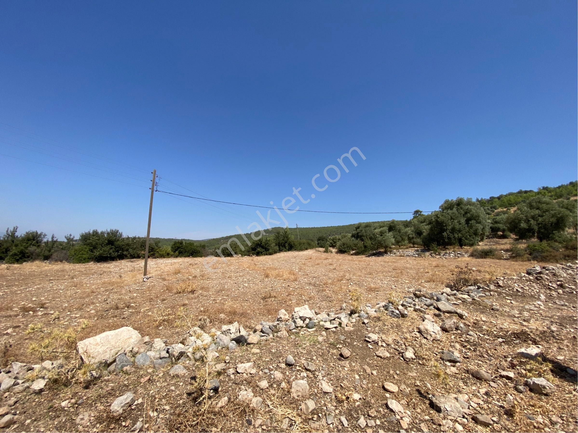 Muğla Milas Kayaderesi Mahallesinde Satılık Tarlamız - Görsel 5