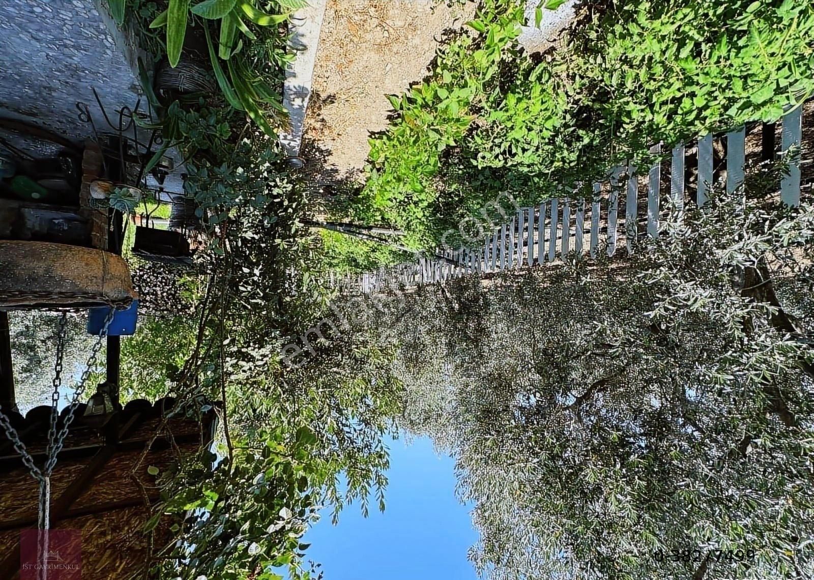 İzmir Dikili'de Satılık 33 Dönüm Zeytinlik Taş Ev, Havuz, 2 Kuyu - Görsel 21