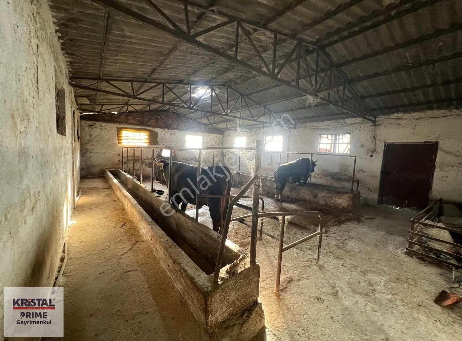 Kr Prime'dan Başköy Mahallesi'nde Satılık Tarla - Görsel 2