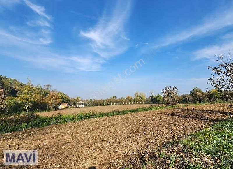 Remax Mavi Cengiz Özdemir'den 6.417,97 M² Tarla - Görsel 2