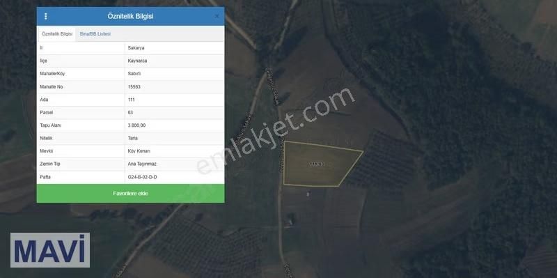 Remax Mavi'den Sabırlı'da 60 M Yola Cepheli Hakim Konumda Tarla - Görsel 3