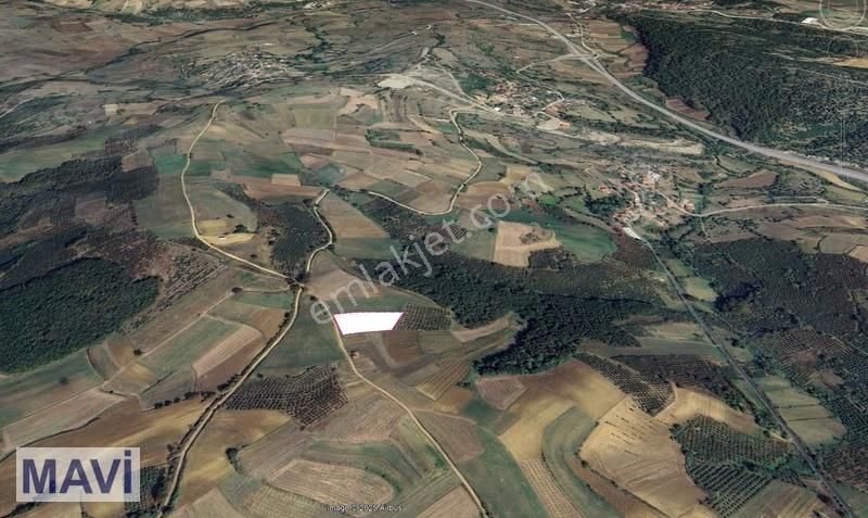 Remax Mavi'den Sabırlı'da 60 M Yola Cepheli Hakim Konumda Tarla - Görsel 4