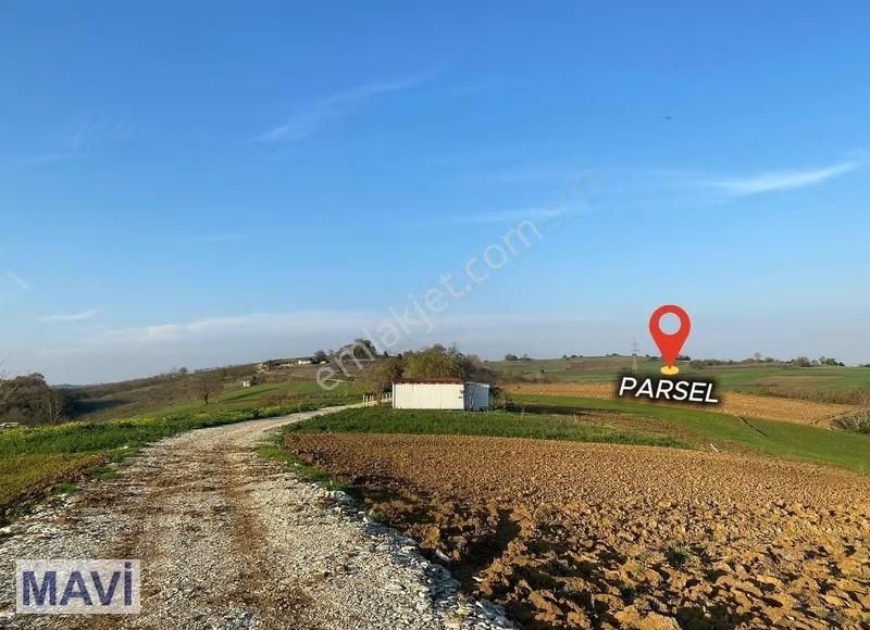Remax Mavi'den Sabırlı'da 60 M Yola Cepheli Hakim Konumda Tarla - Görsel 2
