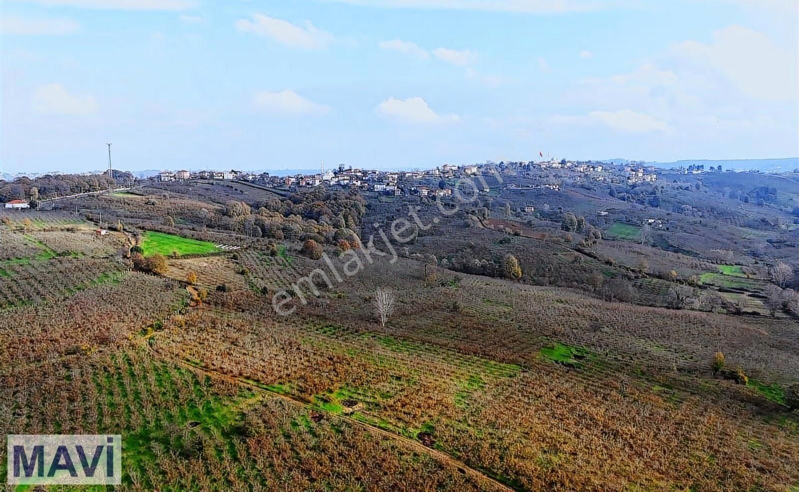 İmara 150m,yola 200m Cephe, Eğimsiz, Fındık Verimi Yüksek Remax