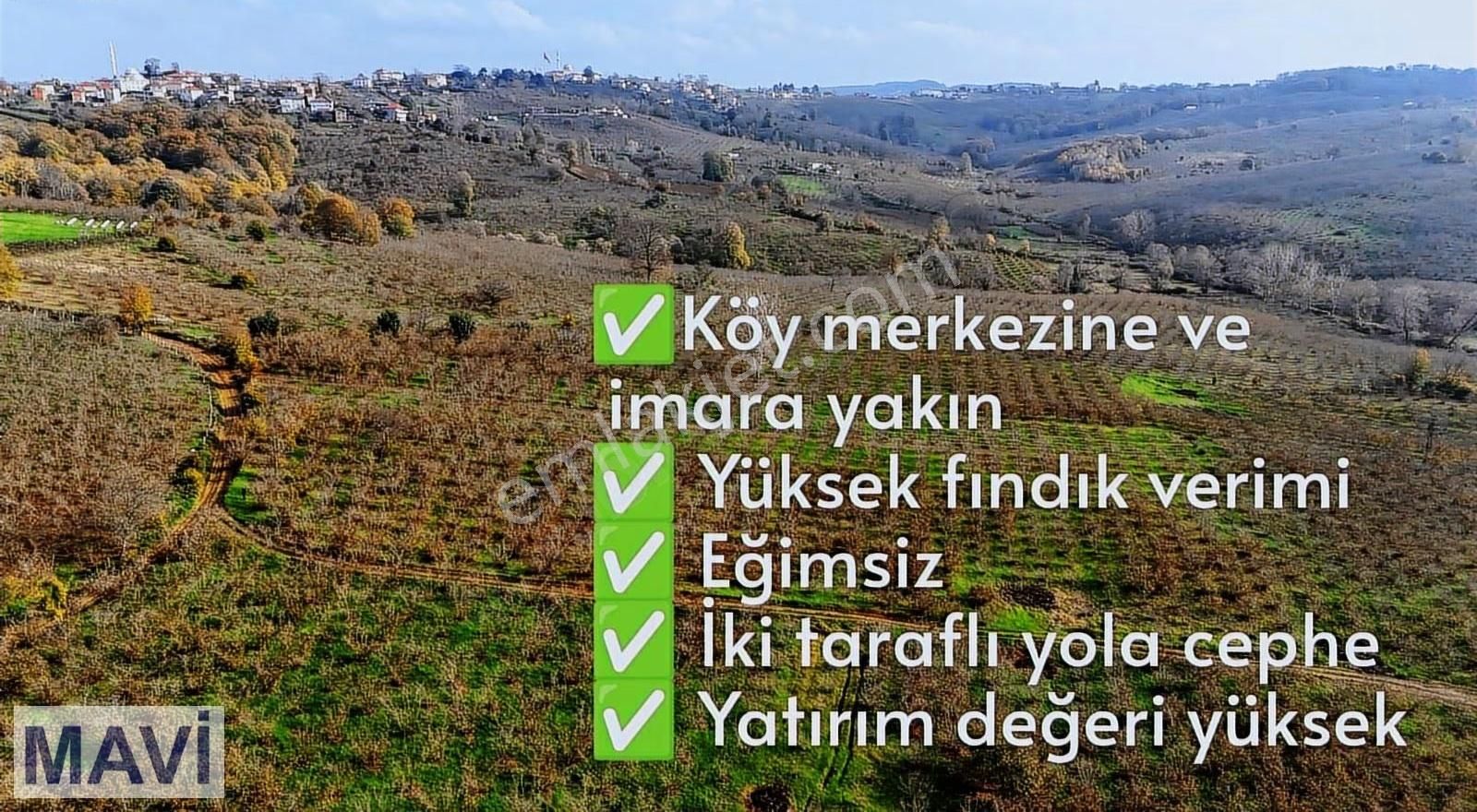 İmara 150m,yola 200m Cephe, Eğimsiz, Fındık Verimi Yüksek Remax - Görsel 4