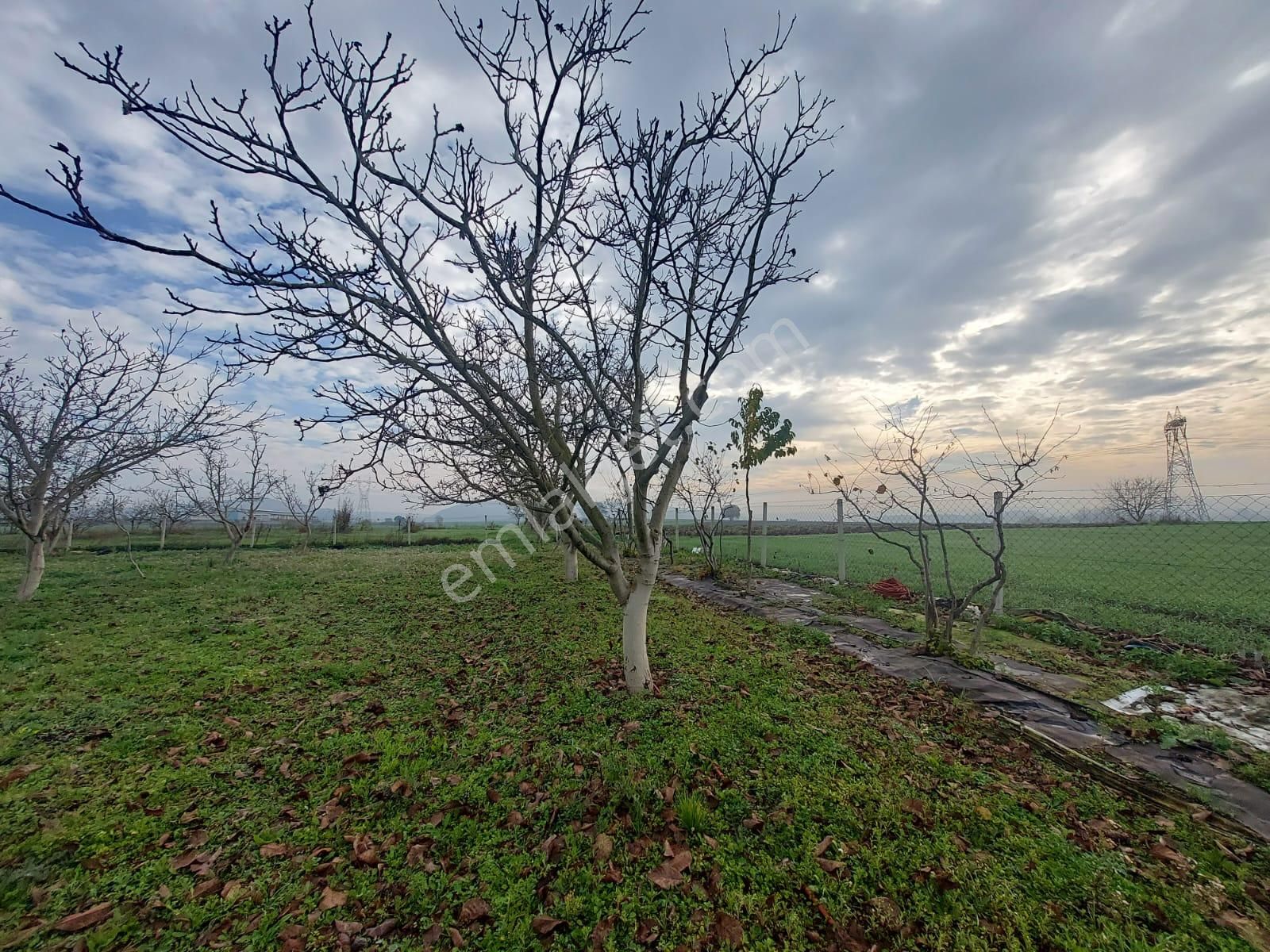 Mudanya Çayönü Teknosab Osb Yakın Satılık Tarla - Görsel 12