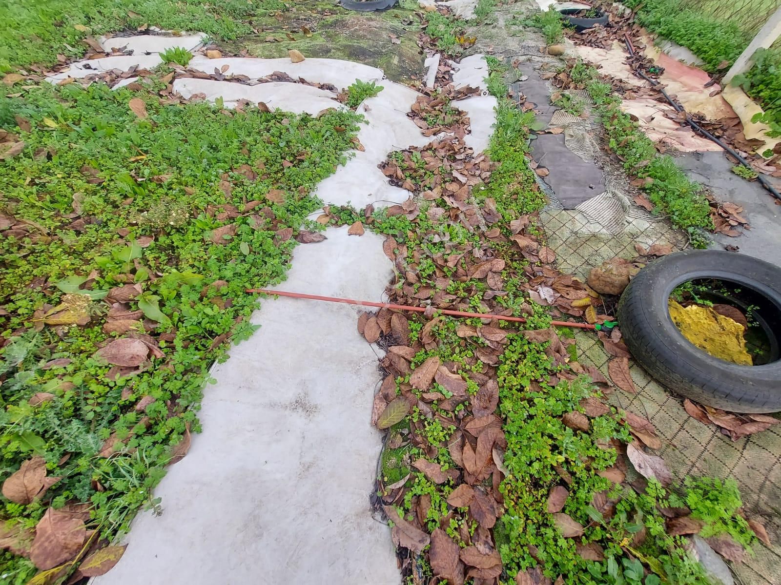 Mudanya Çayönü Teknosab Osb Yakın Satılık Tarla - Görsel 4