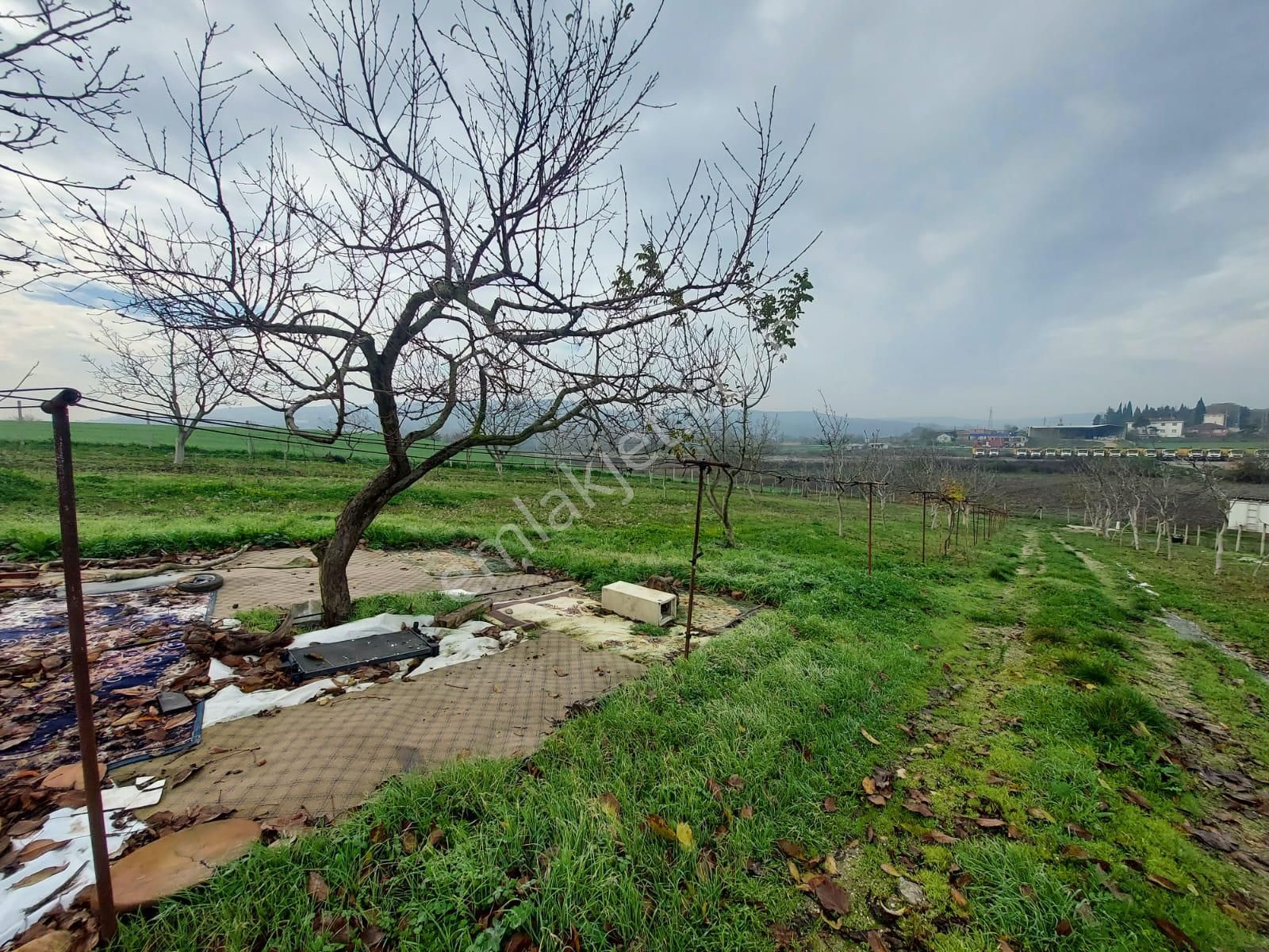 Mudanya Çayönü Teknosab Osb Yakın Satılık Tarla - Görsel 31