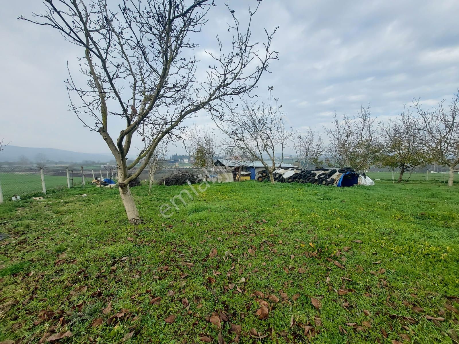 Mudanya Çayönü Teknosab Osb Yakın Satılık Tarla - Görsel 20