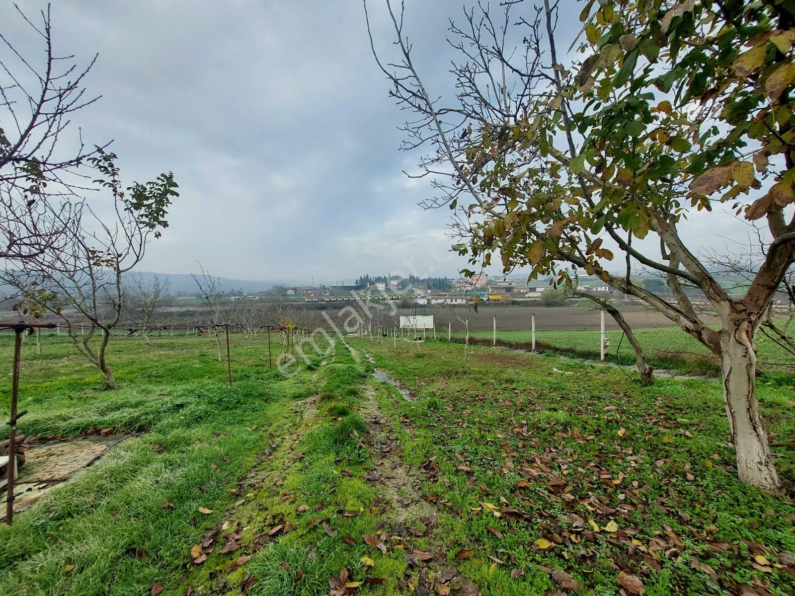 Mudanya Çayönü Teknosab Osb Yakın Satılık Tarla - Görsel 32