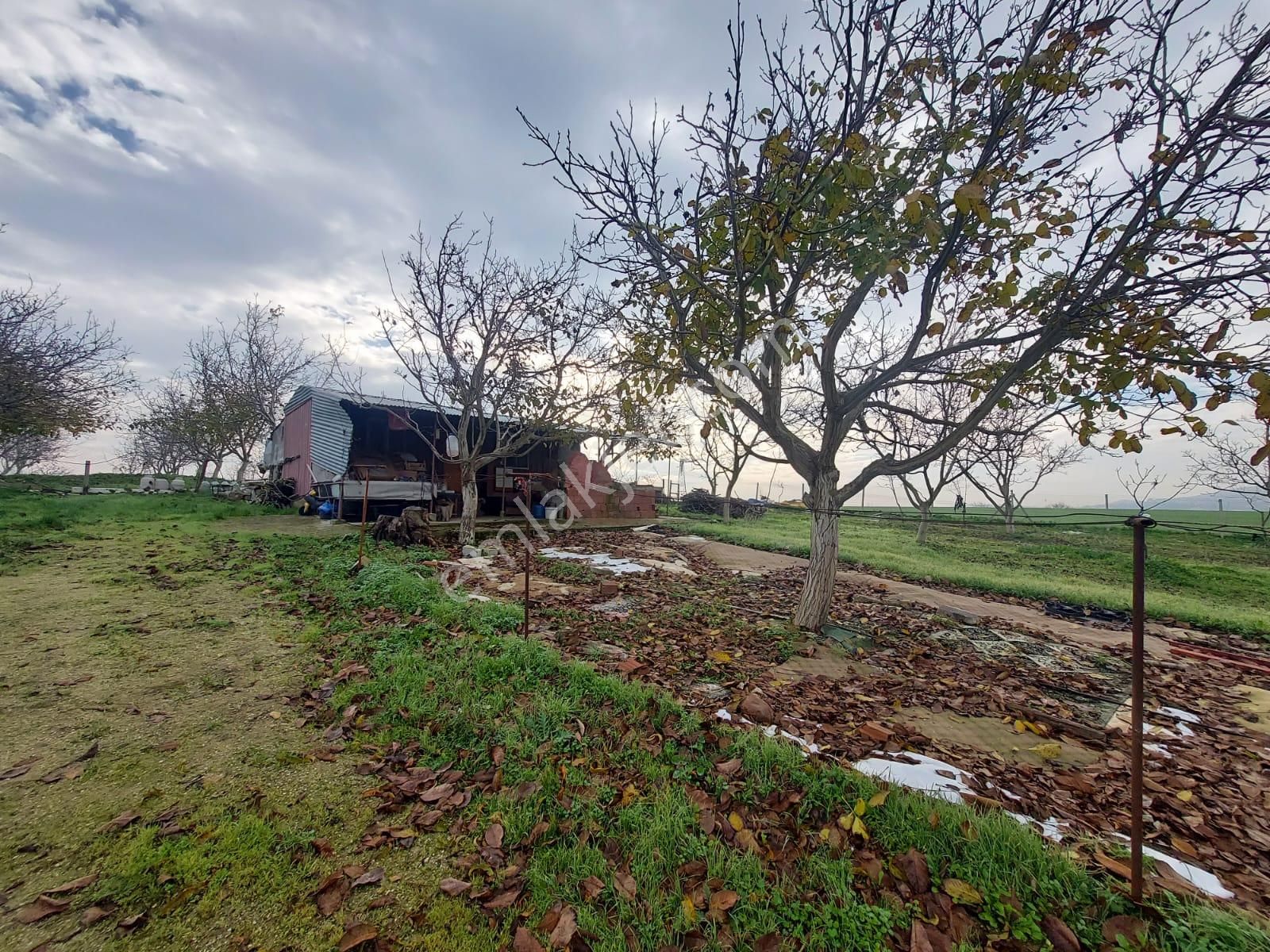 Mudanya Çayönü Teknosab Osb Yakın Satılık Tarla - Görsel 28