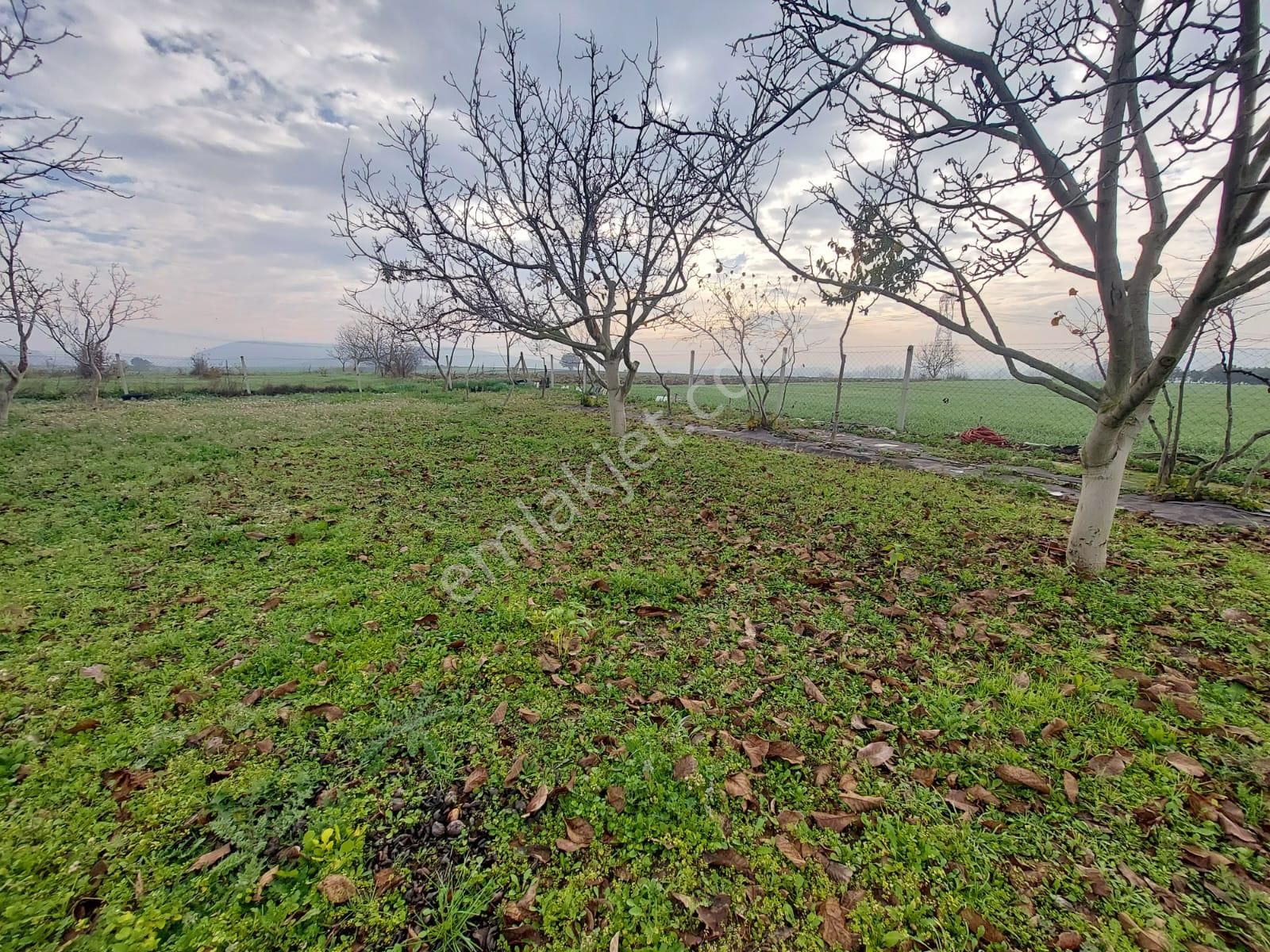 Mudanya Çayönü Teknosab Osb Yakın Satılık Tarla - Görsel 10