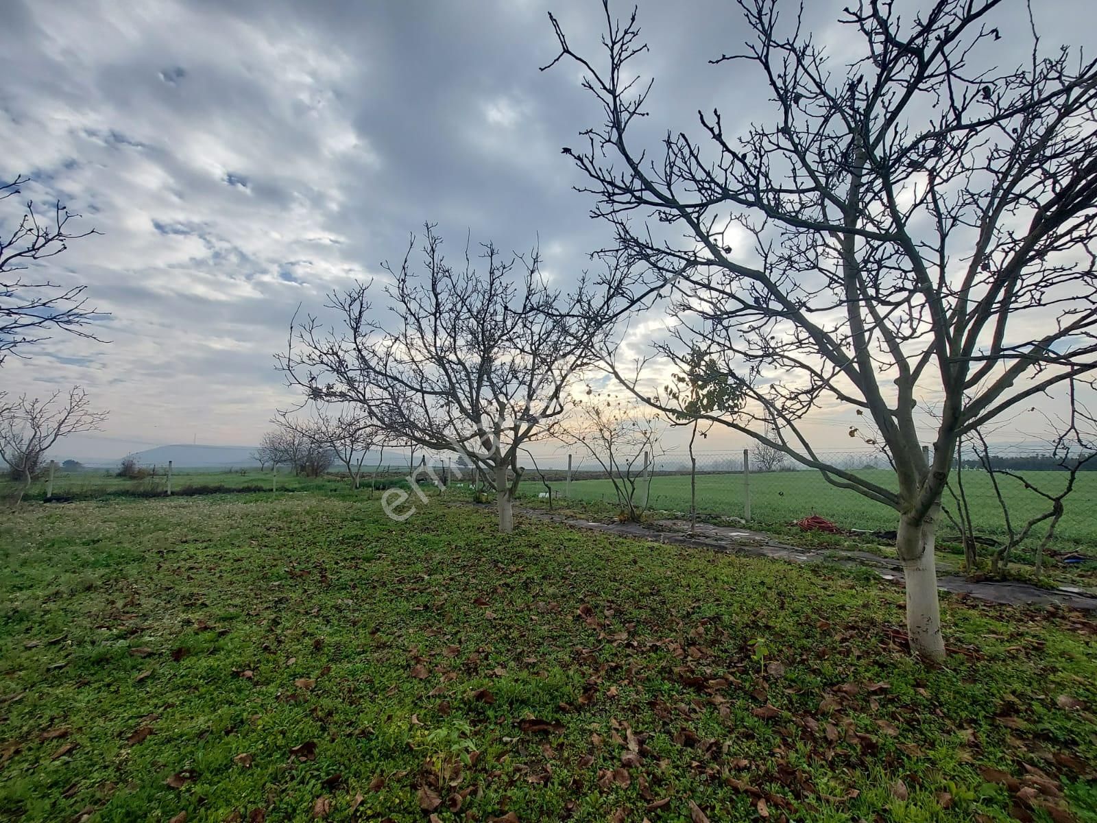 Mudanya Çayönü Teknosab Osb Yakın Satılık Tarla - Görsel 14