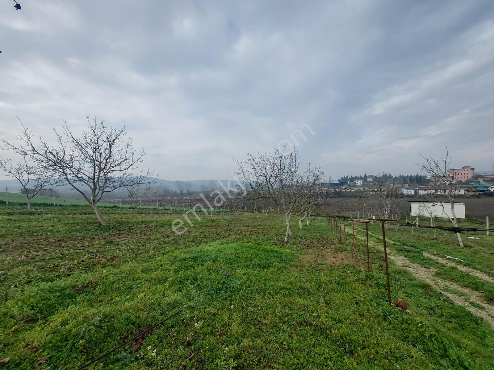 Mudanya Çayönü Teknosab Osb Yakın Satılık Tarla - Görsel 34